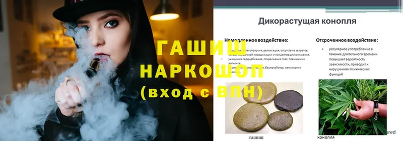 mega tor  закладки  Алексеевка  Гашиш hashish 