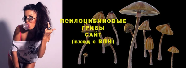 MDMA Грязовец