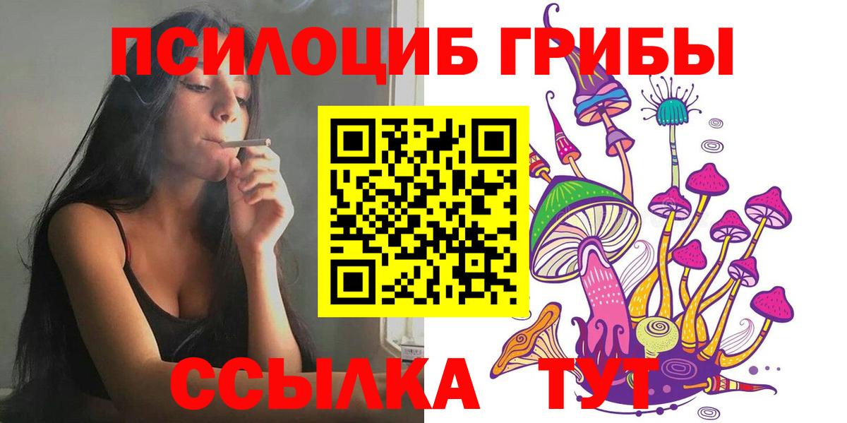 Алексеевка  Галлюциногенные грибы Cubensis  купить закладку  Вход с VPN 