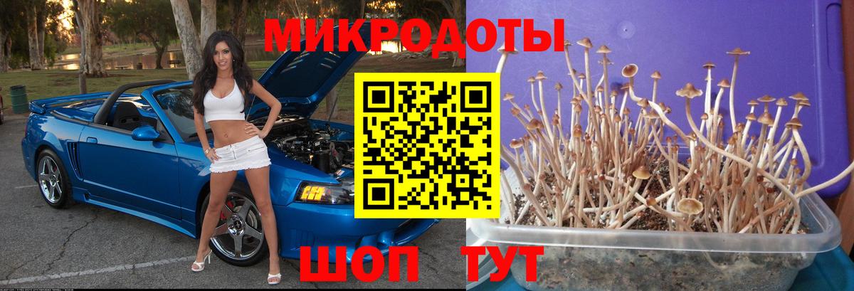 Галлюциногенные грибы Cubensis Алексеевка