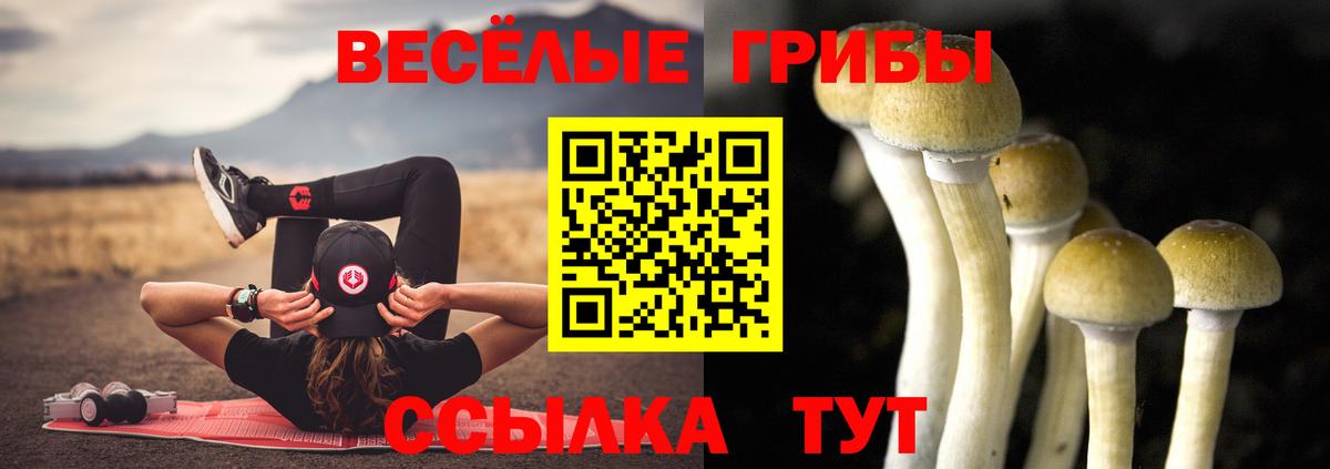 Псилоцибиновые грибы Magic Shrooms  Алексеевка 