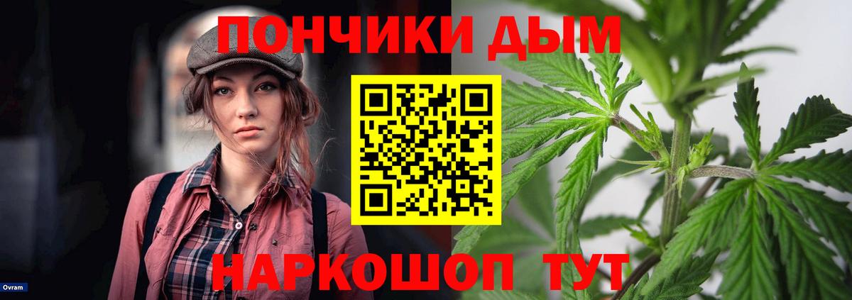 Бошки марихуана Bruce Banner  Марихуана семена  Алексеевка  Канабис Amnesia  Бошки Шишки OG Kush 
