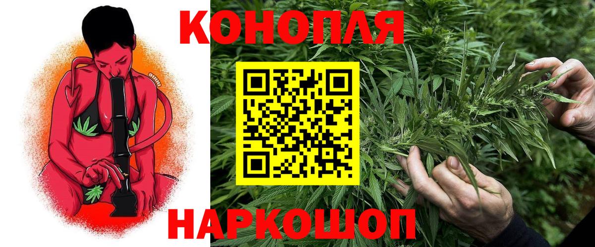 Каннабис сатива Алексеевка